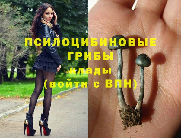 метамфетамин Белокуриха