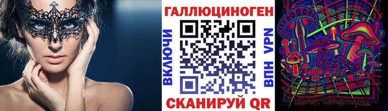 как найти закладки Калининец Псилоцибиновые грибы Cubensis